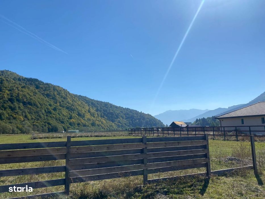 Teren intravilan de vânzare, 1164 mp, acces asfaltat