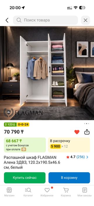 Распашной шкаф FLAGMAN