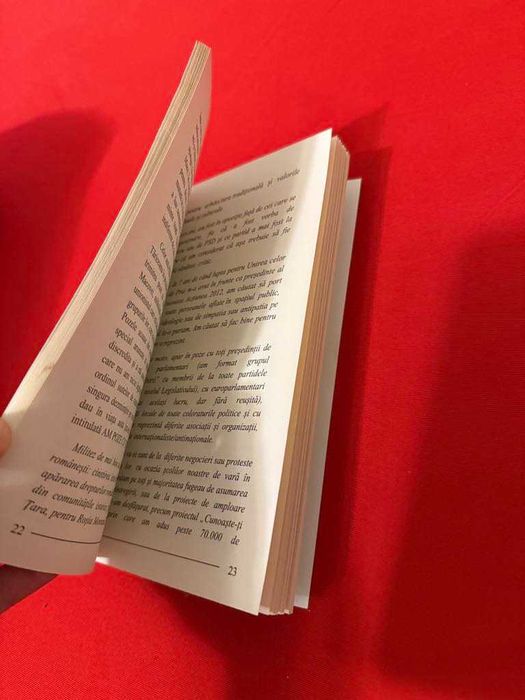 Romania are proiect de tara - George Simion