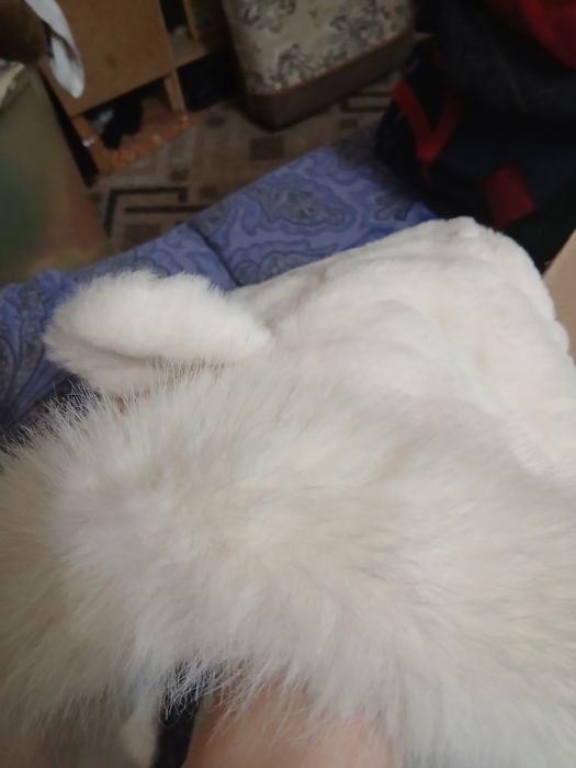 Тёплая зимняя шапка с ушками