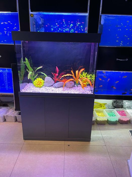 Akvarium New 315 litrlik