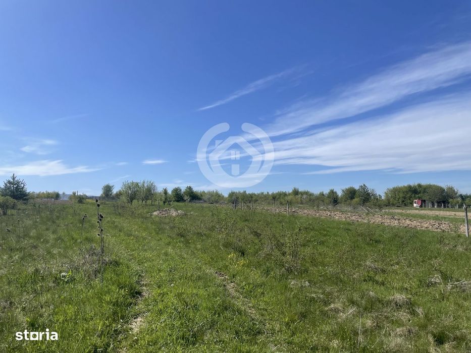 Vanzare Teren Intravilan | 1200 Mp | Poplaca, Sibiu