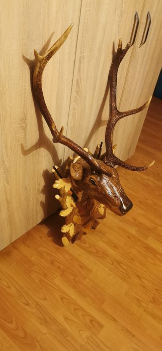 Trofeu coarne cerb