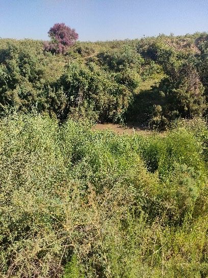 Ер участка арзон нархда сотилади сотиги 2700