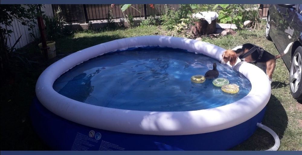 Vand piscina gonflabila