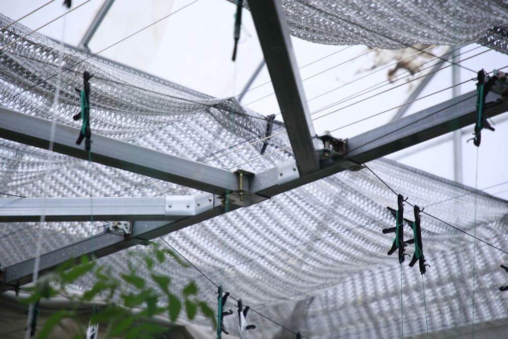 Карейский техналогия парник зўр холатда