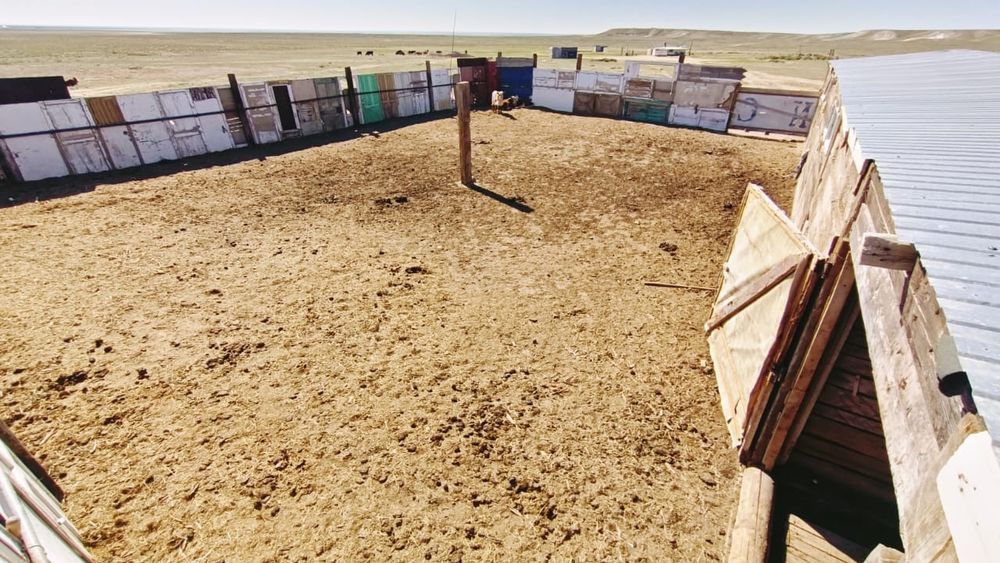 Продам хозяйства