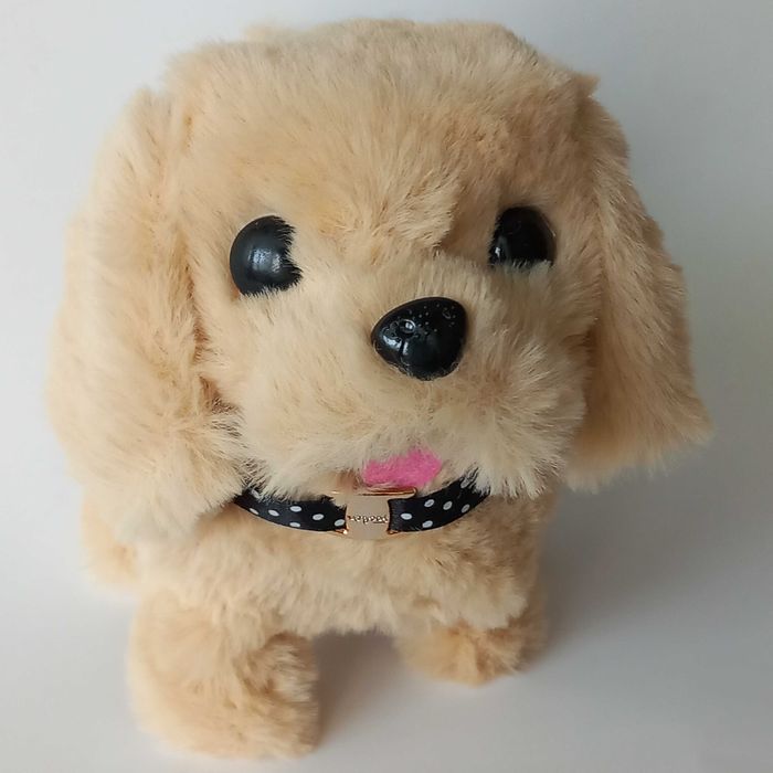 Играчка подскачащо пиле механична