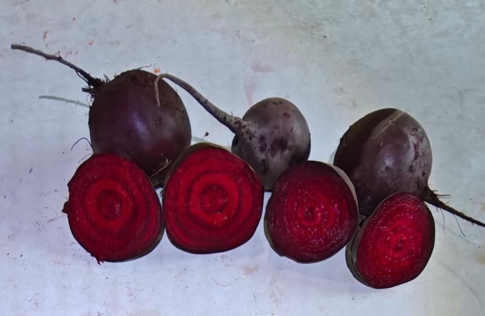 Овощи, выращенные в поле.