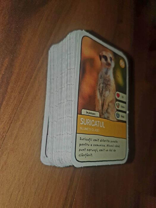 Colectia Expeditie in jurul lumii 2