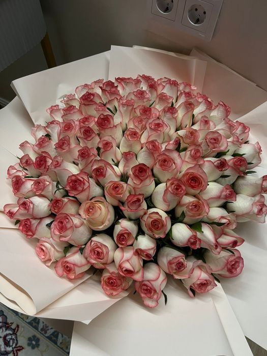 розы цветы 101  метровые