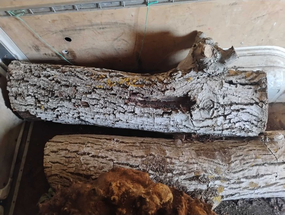 Дървен материал от орех