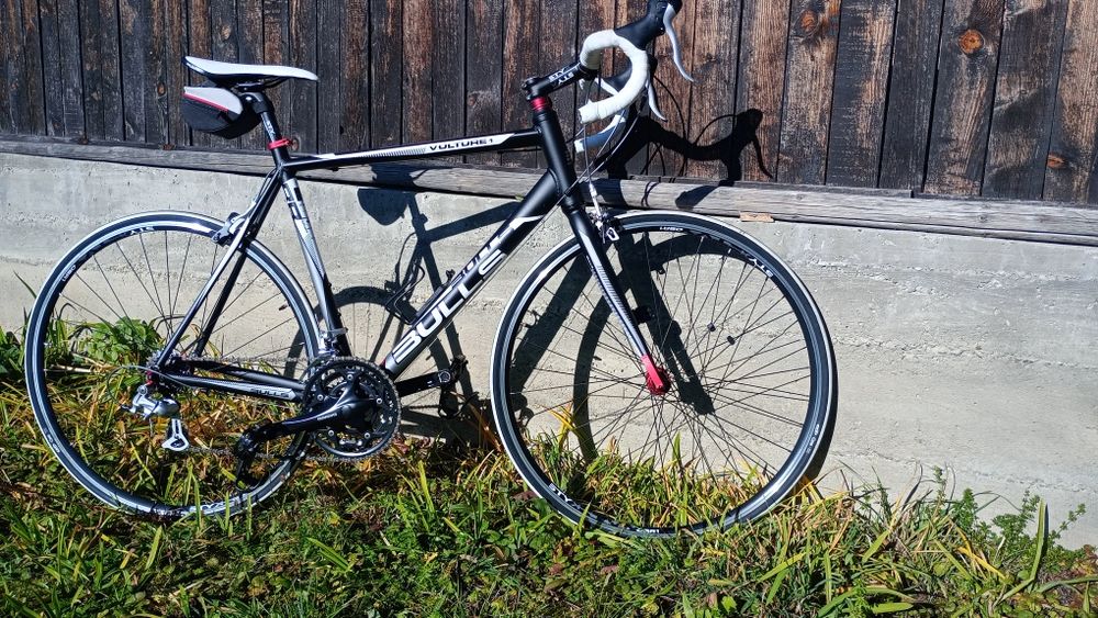 Cursiera Bulls Vulture 1