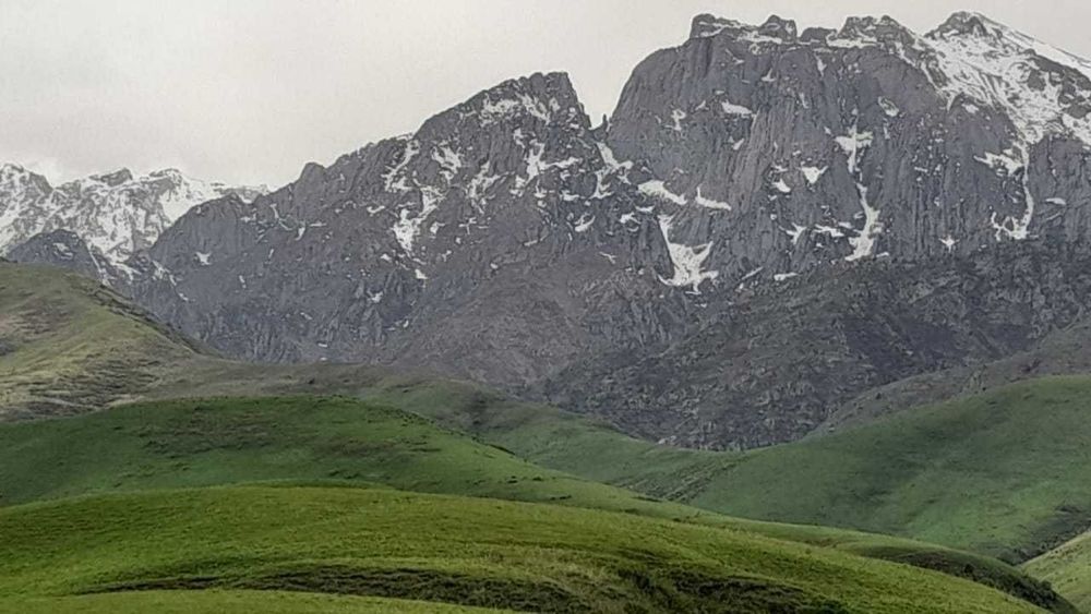 Срочно продается фазенда