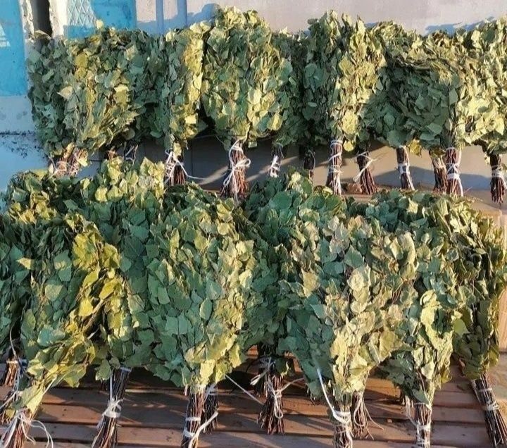 Продаю веники березывые