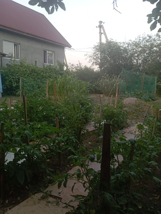 Продам дом дачу.