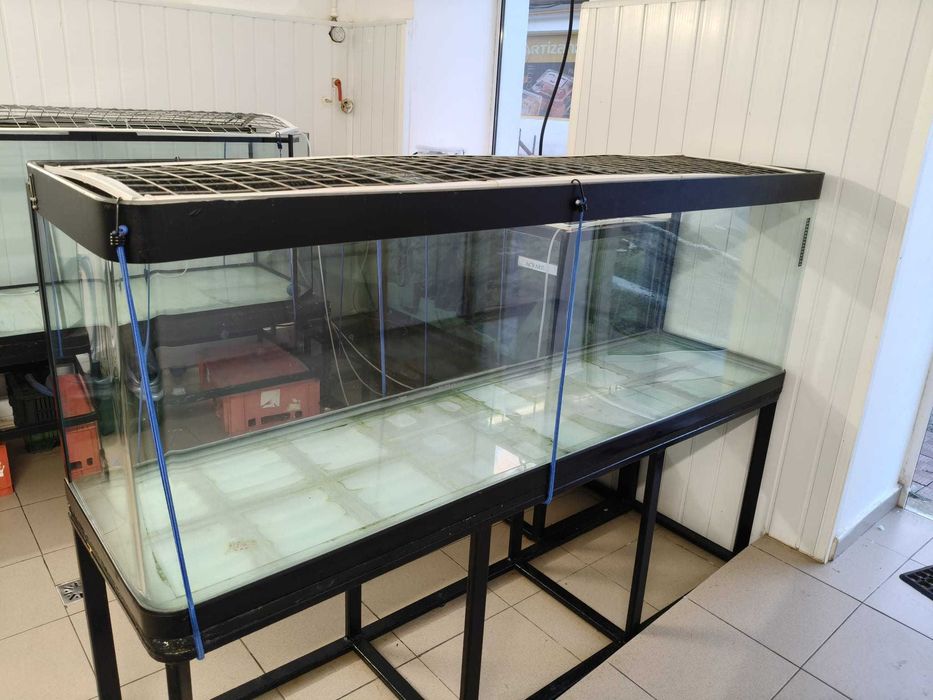 vand acvariu 500 litri
