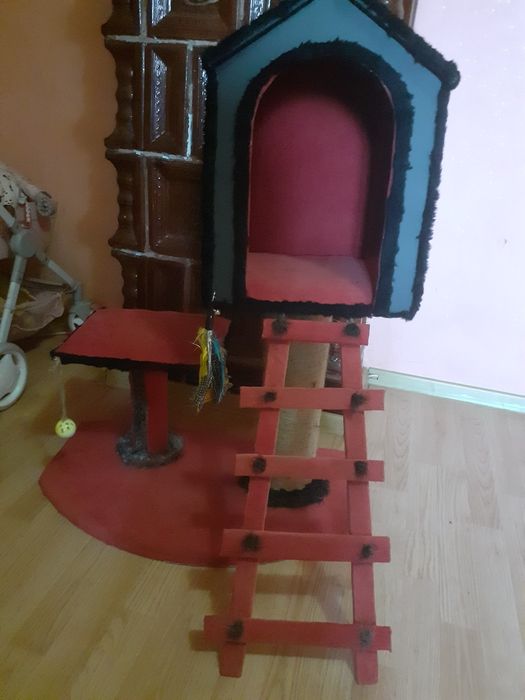 Ansamble pentru pisicuțe