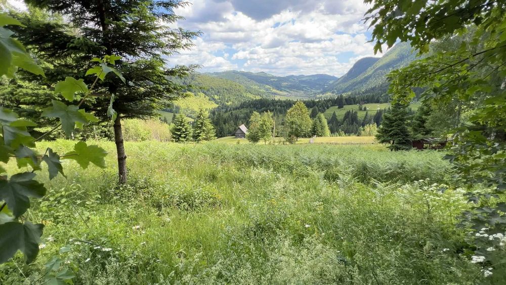 Teren Intravilan la Munte cu vedere panoramică