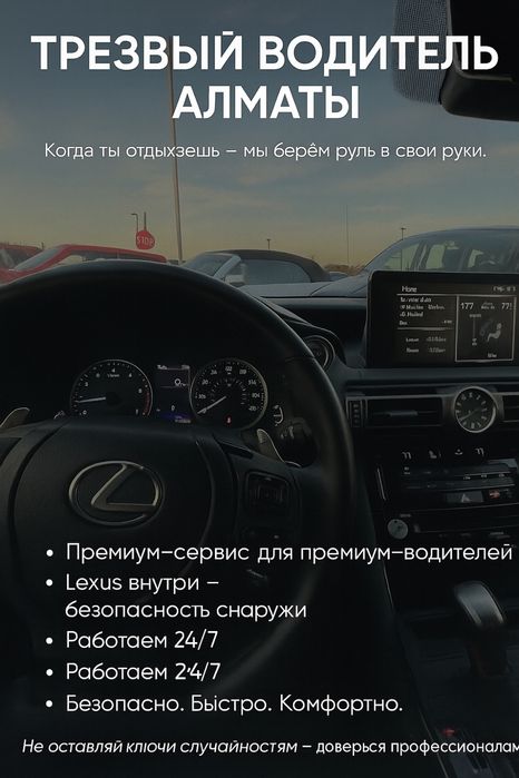 Трезвый водитель