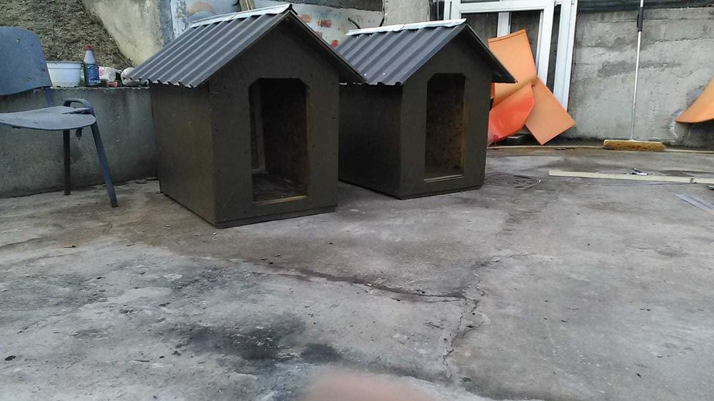 Vand cotet caine diferite dimensiuni