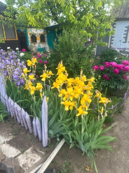 Продам дачный участок