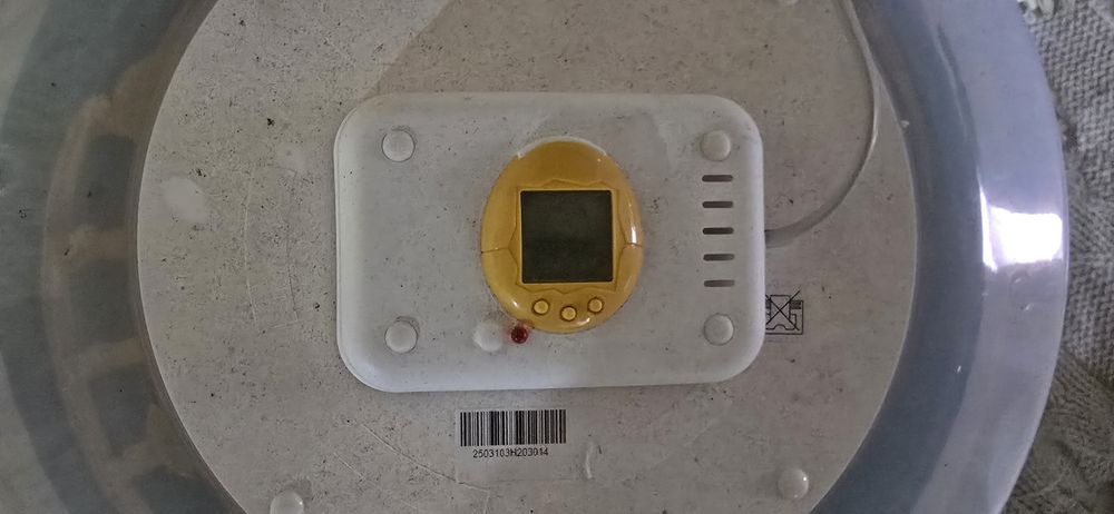 Clocitoare electrica