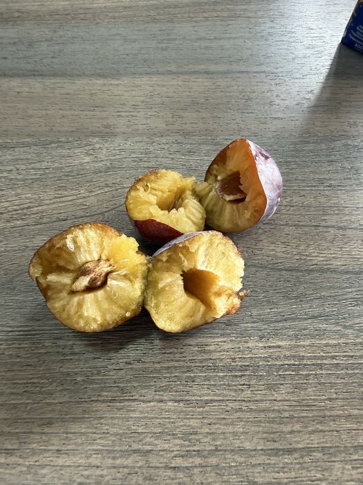 Prune tuica/palinca/procesare President