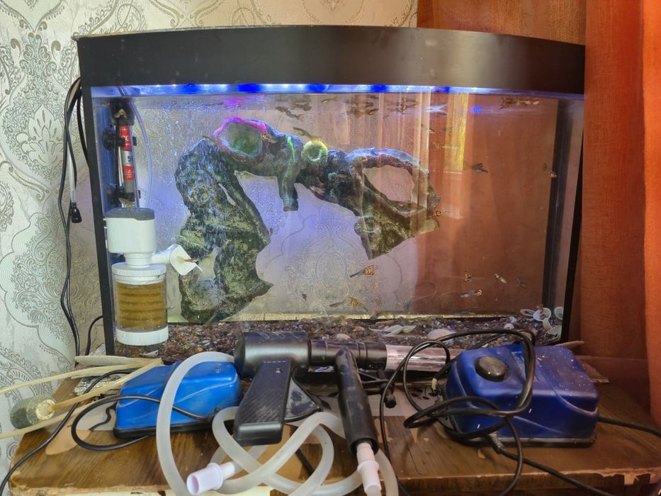 Аквариум 40+ литров с рыбками (80 гуппи) и оборудованием
