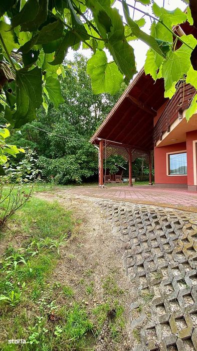 Domeniul Isvoarele, Giurgiu – Proprietate Unica Langa Bucuresti