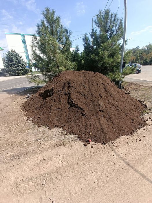 Горный рыхлый чернозём