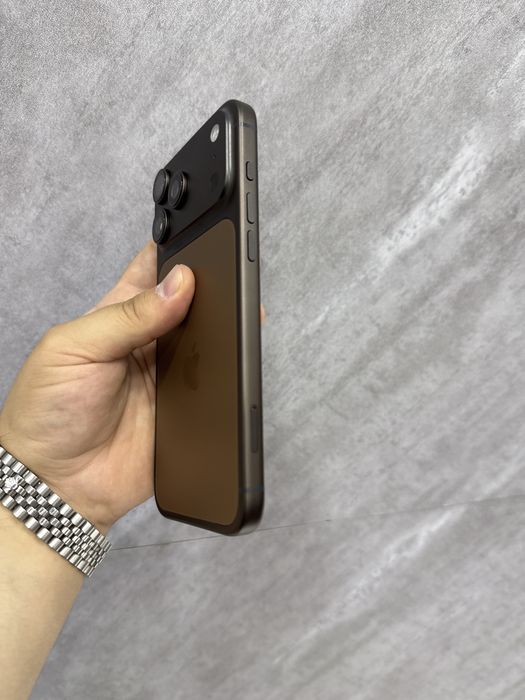 17 Pro Max 256 Brown