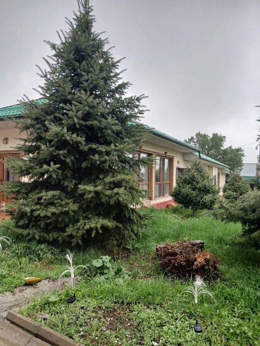 Сдам в аренду баню, сауну