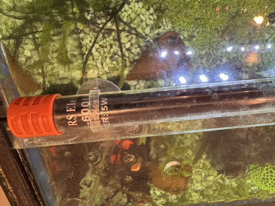 Аквариум изцяло оборудван