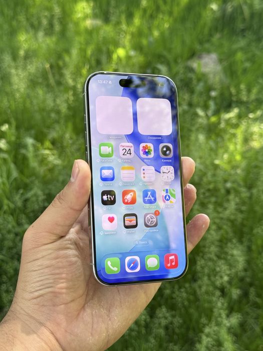 IPhone 16 Pro 256 Natural Titanium