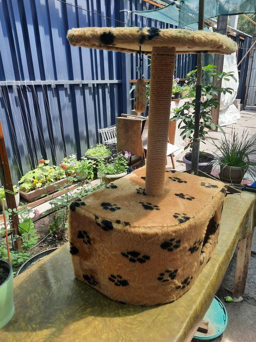 Продам домик для Кошки
