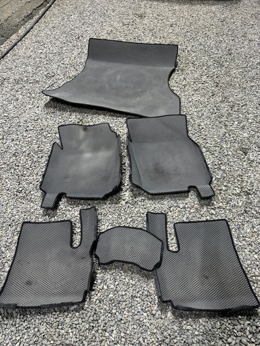 Ева полик нексия