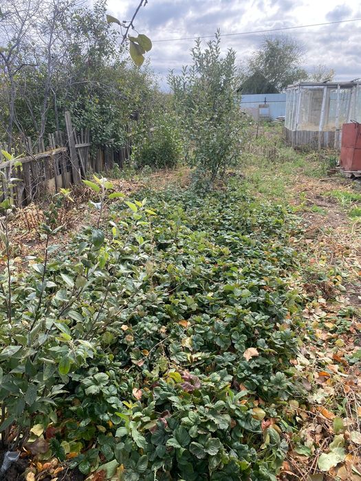 Продам Дачу в городе 4линия