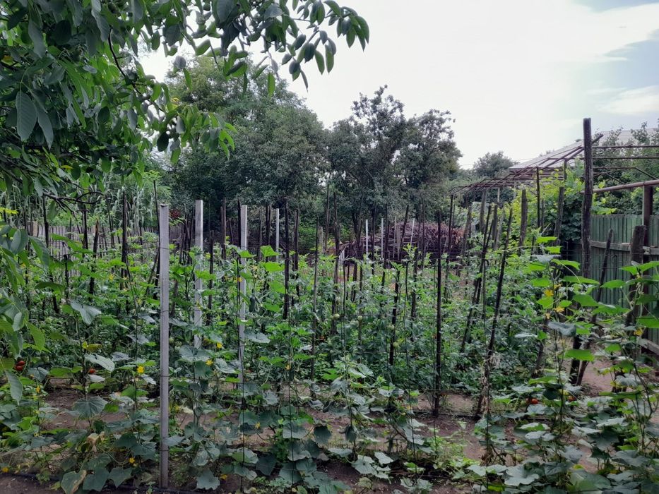 Vând casa și teren