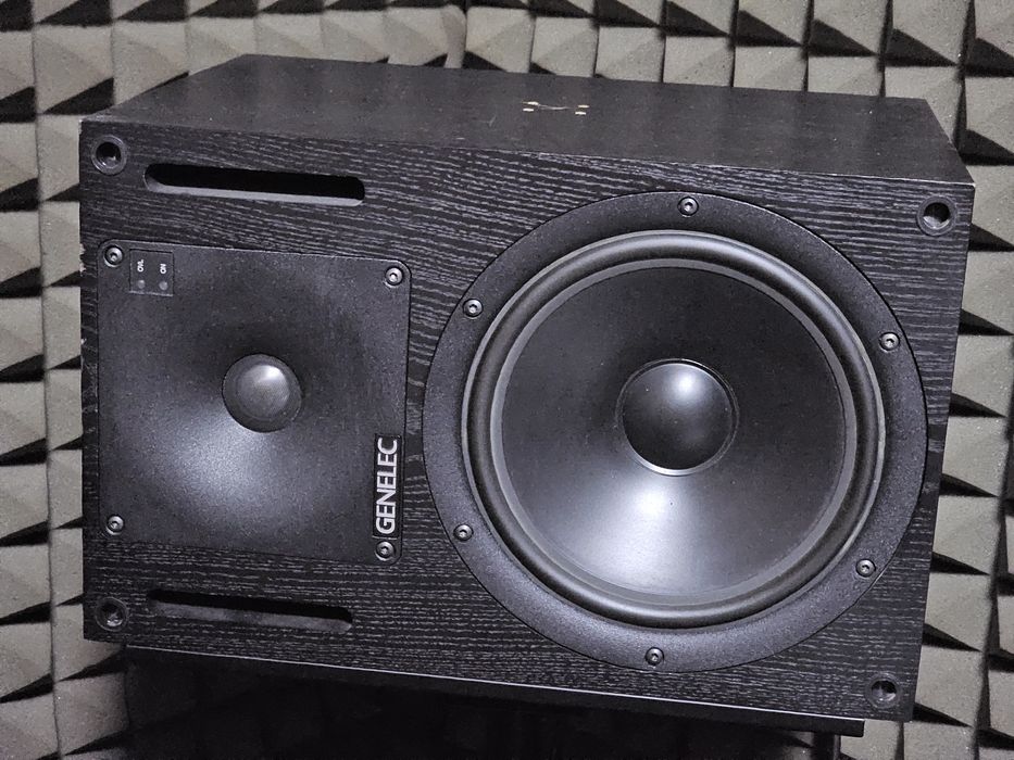 Студийные мониторы GENELEC 1031A