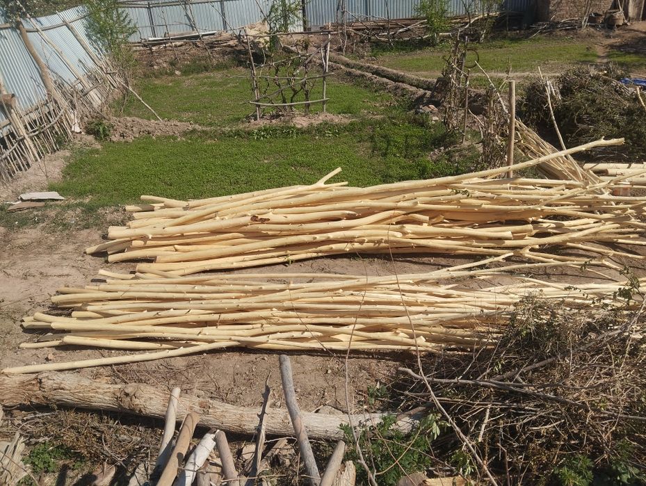 Совут хадалари сотилади ириси 25 мингдан медаси 15 мингдан