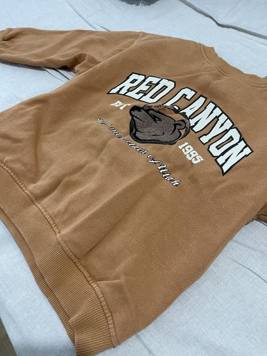 Свиншот Zara 3-4 годика