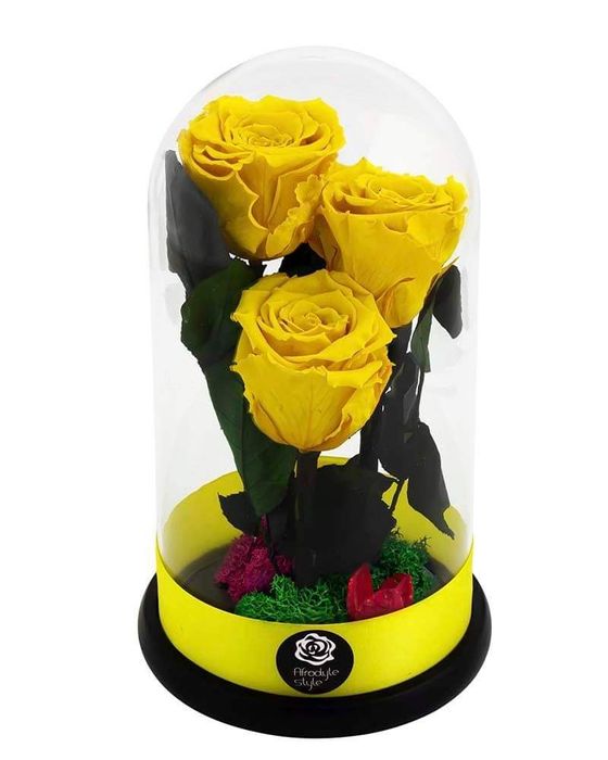 Aranjamente trandafiri criogenati