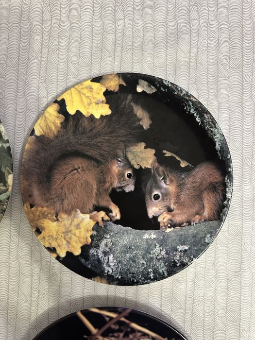 Декоративни порцеланови чинии – лимитирана серия