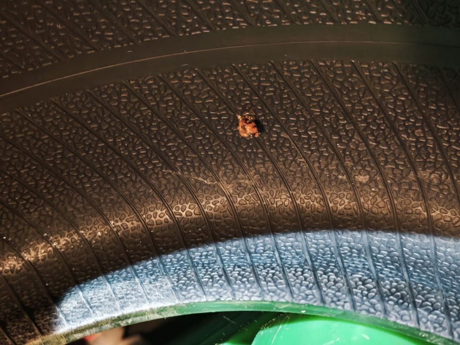 Шины зимние 225/50/17