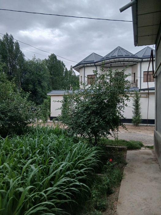 8хонали уйимни сотаман