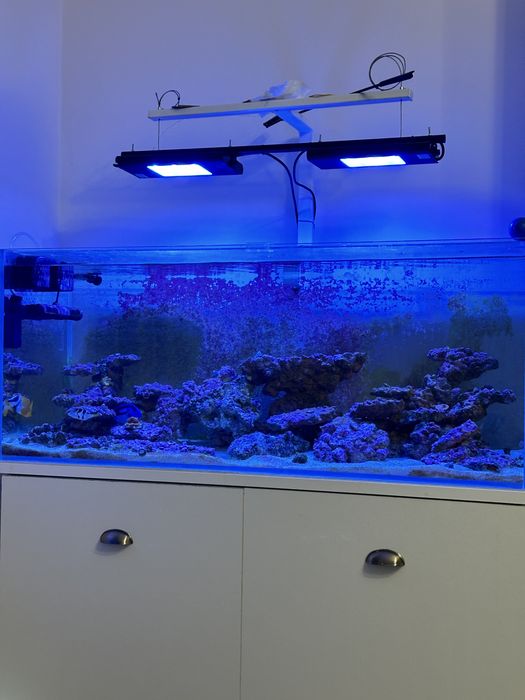Lampa acvariu marin Hydra Edge 44hd