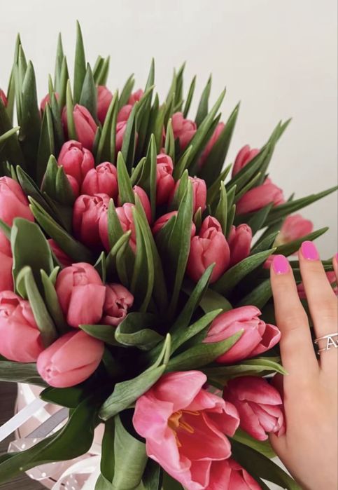Красивые тюльпаны с доставкой