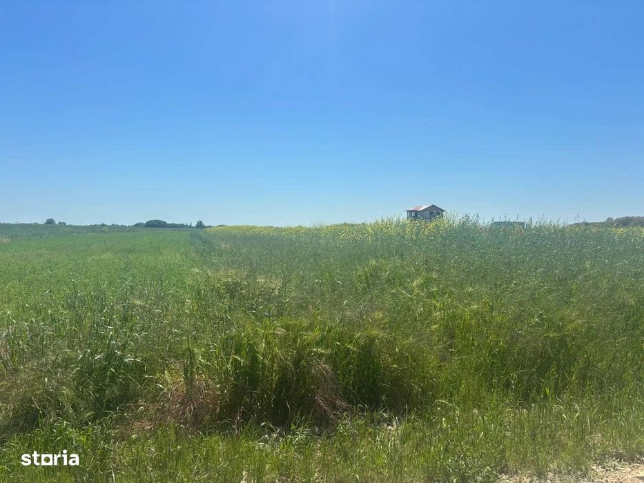 Loturi teren 500 m P+1+M Berceni - Vidra Actele la zi Puz valabil