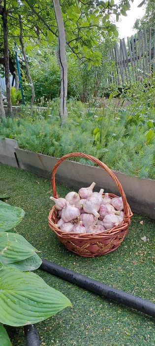 Продаётся красивая дача